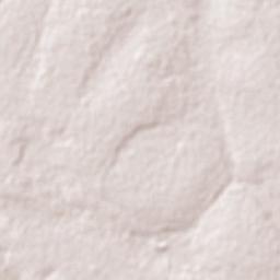 Chingola District Terrain Map