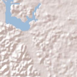 Camaçari Terrain Map
