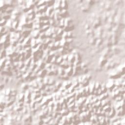 Simões Filho Terrain Map