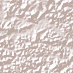 Muniz Ferreira Terrain Map
