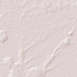 Cerejeiras Terrain Map