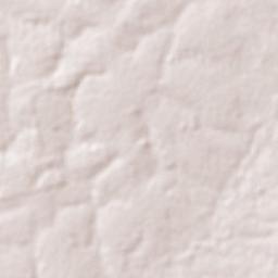Novo Planalto Terrain Map