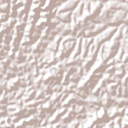 Presidente Tancredo Neves Terrain Map