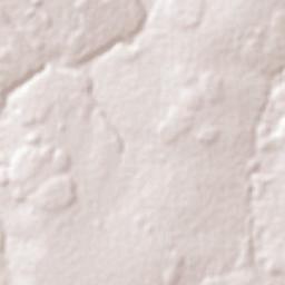 Campo Novo do Parecis Terrain Map