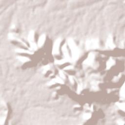 Livramento de Nossa Senhora Terrain Map