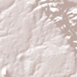 Dom Basílio Terrain Map