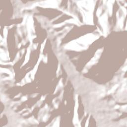 Tinta Terrain Map