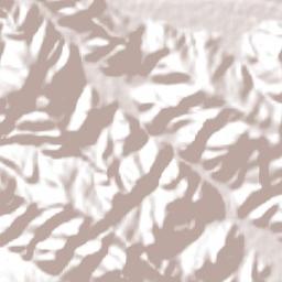 Callanca Terrain Map