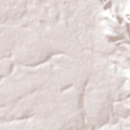 Palmas de Monte Alto Terrain Map