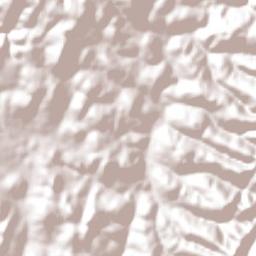 Boa Nova Terrain Map
