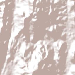 Coaraci Terrain Map