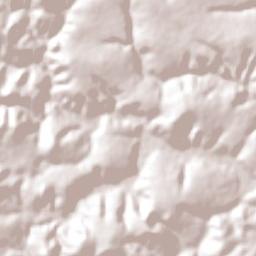 Licínio de Almeida Terrain Map