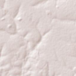 Nova Olímpia Terrain Map