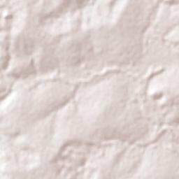 Santo Antônio do Leste Terrain Map