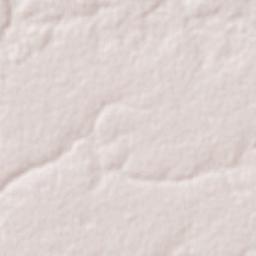 Gameleiras Terrain Map