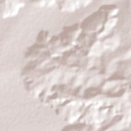 Novo São Joaquim Terrain Map