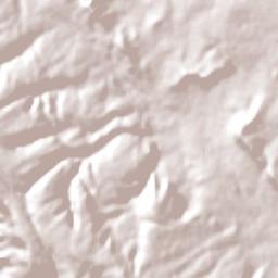 Rio Branco Terrain Map