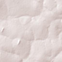 Matrinchã Terrain Map