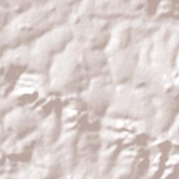 São Patrício Terrain Map