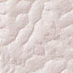 Provincia Velasco Terrain Map