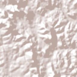 Pau Brasil Terrain Map