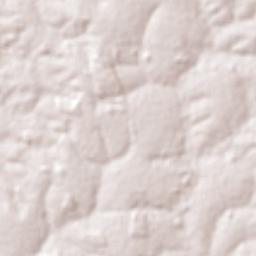 São José dos Quatro Marcos Terrain Map