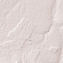 Jussara Terrain Map