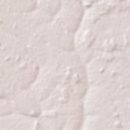 Curvelândia Terrain Map