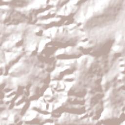 Dom Aquino Terrain Map