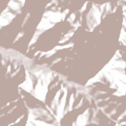 Caranavi Terrain Map