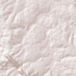 Ascención de Guarayos Terrain Map