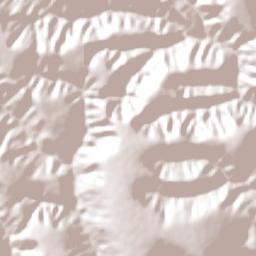 Novorizonte Terrain Map