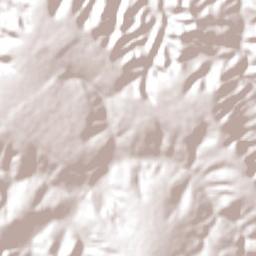 Padre Carvalho Terrain Map