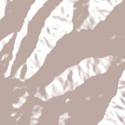 Coripata Terrain Map