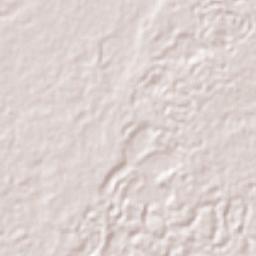 Provincia Chaparé Terrain Map