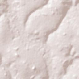 Santo Antônio de Goiás Terrain Map
