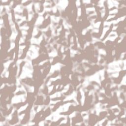 Santo Antônio do Jacinto Terrain Map