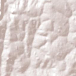 Firminópolis Terrain Map