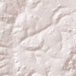 Santa Bárbara de Goiás Terrain Map