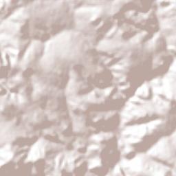 Leopoldo de Bulhões Terrain Map