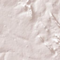 Unaí Terrain Map