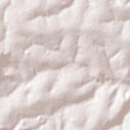 Aparecida de Goiânia Terrain Map