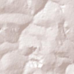 Vianópolis Terrain Map