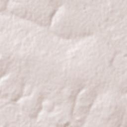 Dom Bosco Terrain Map