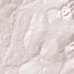 Guaraciama Terrain Map