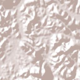 Vereda Terrain Map
