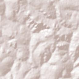 Pires do Rio Terrain Map