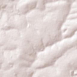 Edéia Terrain Map