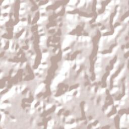 Medeiros Neto Terrain Map