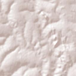 Pontalina Terrain Map